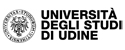 Università degli Studi di Udine - link esterno al sito